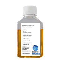 newborn bovine calf serum