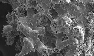 AlphaBioGel Matrix