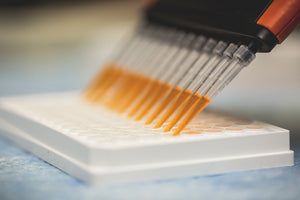  In Vitro Assays 